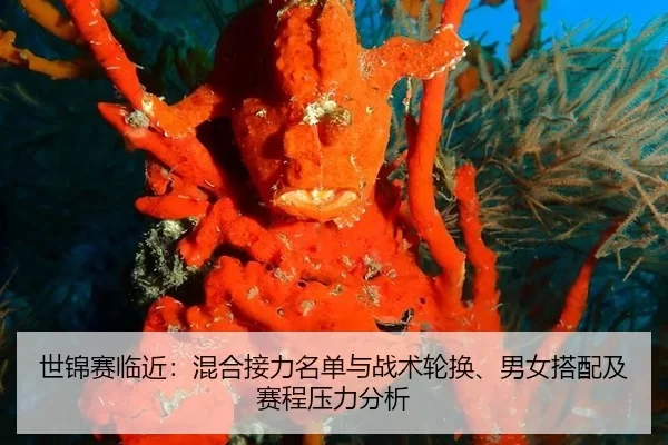 世锦赛临近：混合接力名单与战术轮换、男女搭配及赛程压力分析