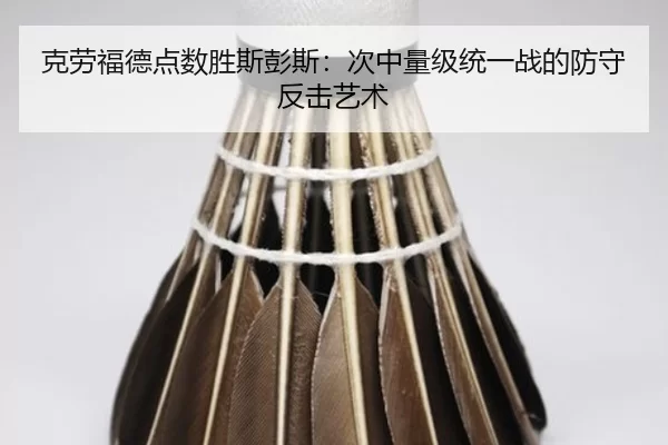 ke-lao-fu-de-dian-shu-sheng-si-peng-si-ci-zhong-liang-ji-tong-yi-zhan-de-fang-shou-fan-ji-yi-shu-2-523.jpg