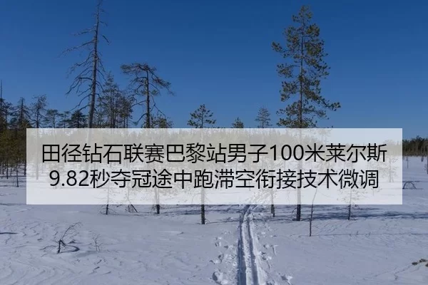 tian-jing-zuan-shi-lian-sai-ba-li-zhan-nan-zi-mi-lai-er-si-miao-duo-guan-tu-zhong-pao-zhi-kong-xian-jie-ji-shu-wei-diao-2-400.jpg