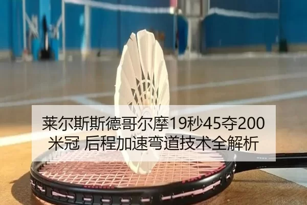 lai-er-si-si-de-ge-er-mo-miao-duo-mi-guan-hou-cheng-jia-su-wan-dao-ji-shu-quan-jie-xi-3-409.jpg